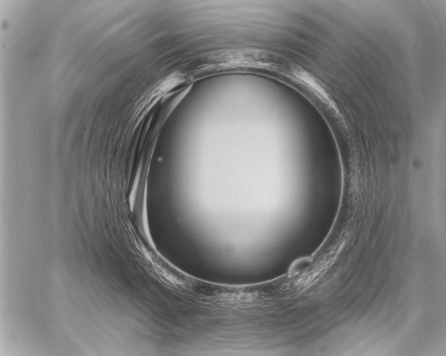 X0000060740793200511141132