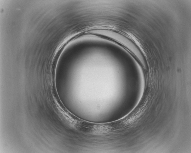 X0000060740795200511141131