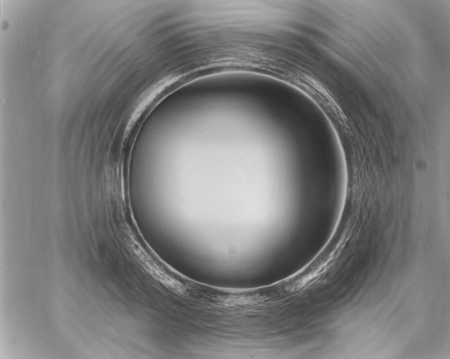 X0000060740796200511141131