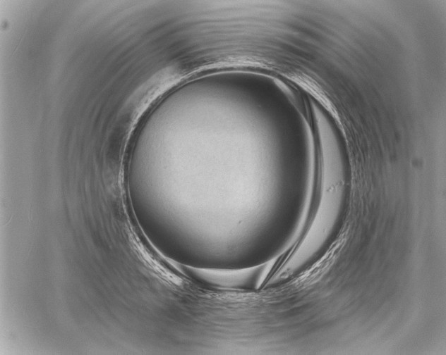 X0000060740797200511141131