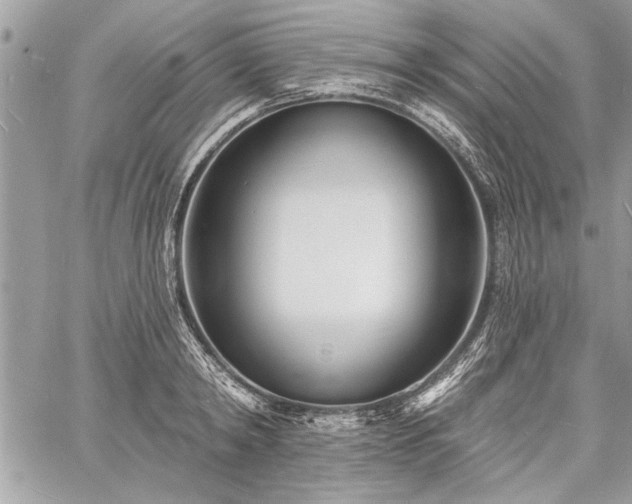 X0000060740798200511141131