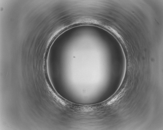 X0000060740799200511141131