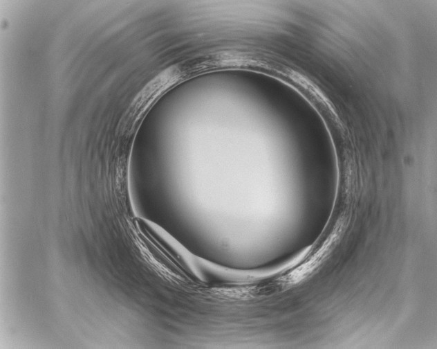 X0000060740801200511141131