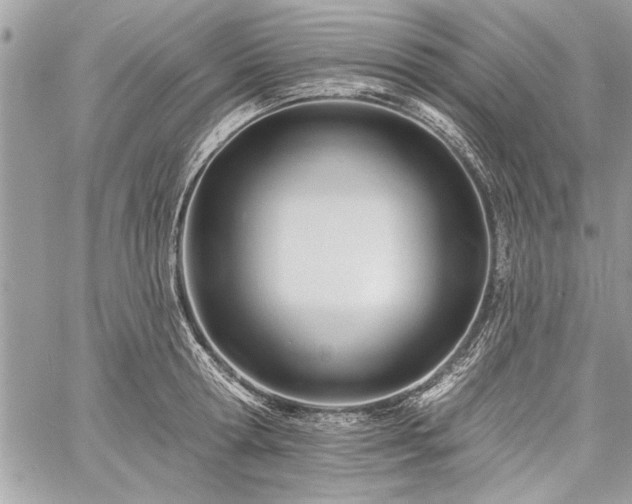 X0000060740802200511141131