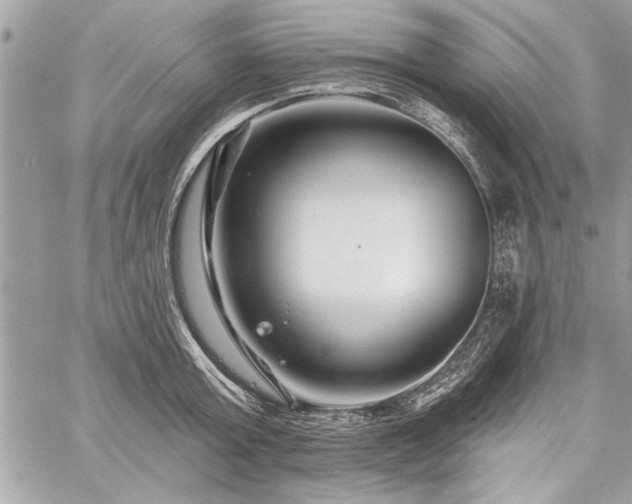 X0000060740803200511141131