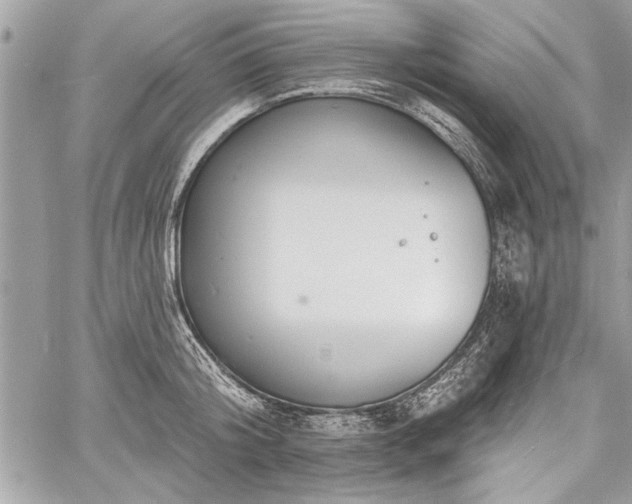 X0000060740804200511141131