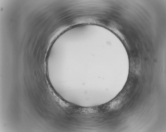 X0000060740807200511141131