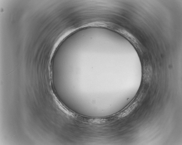 X0000060740808200511141131