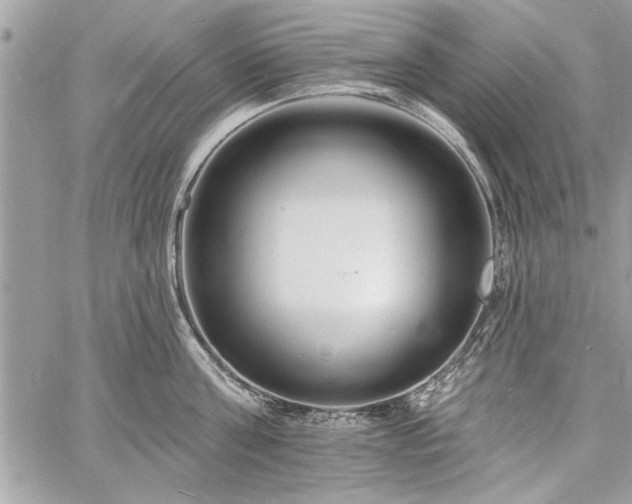 X0000060740811200511141131