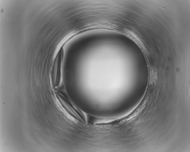 X0000060740812200511141131