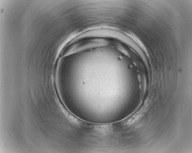 X0000060740813200511141131