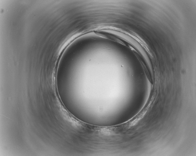 X0000060740814200511141131