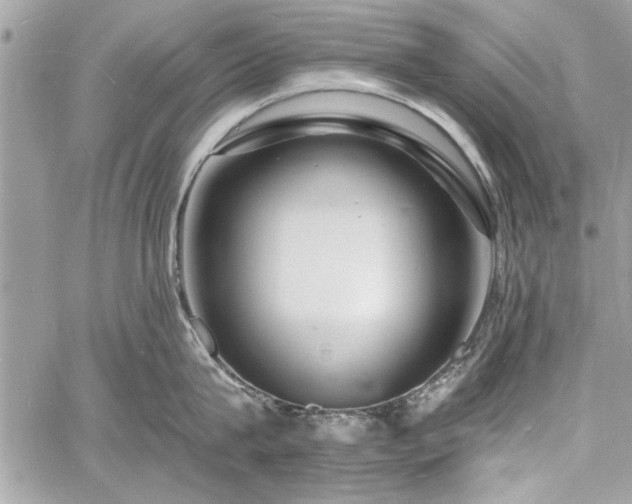 X0000060740815200511141131