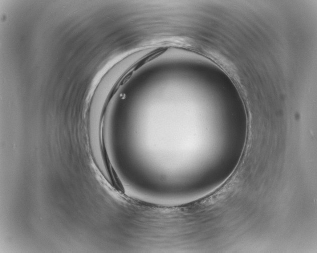 X0000060740816200511141131