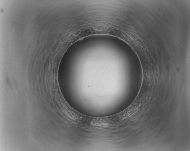 X0000060740817200511141130