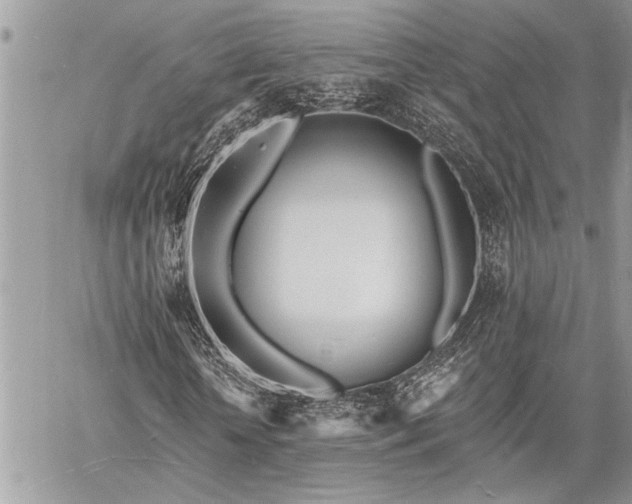 X0000060740818200511141130