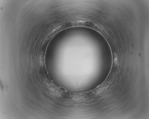 X0000060740819200511141130