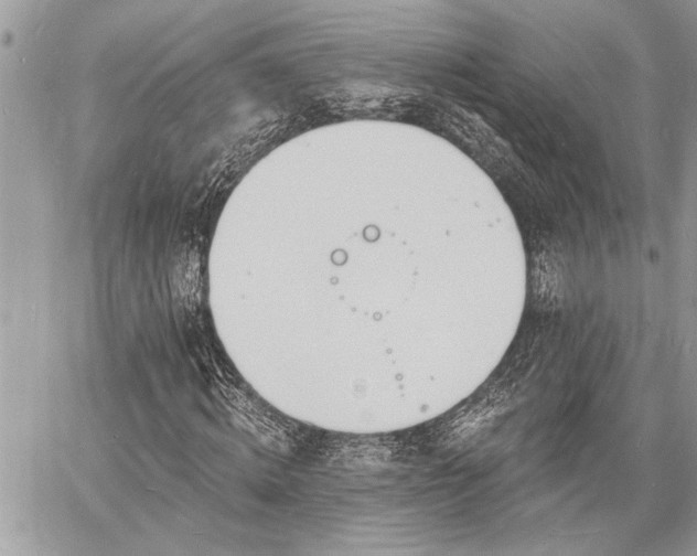 X0000060740820200511141130