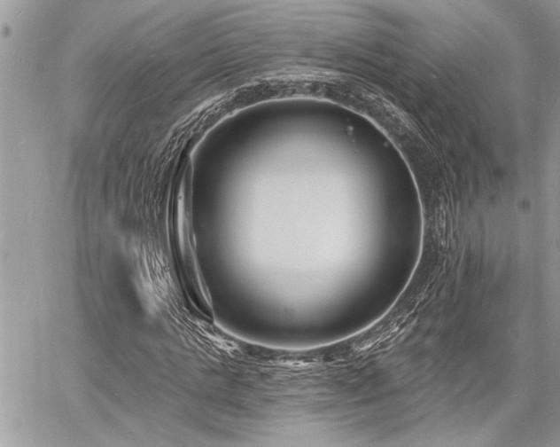 X0000060740821200511141130