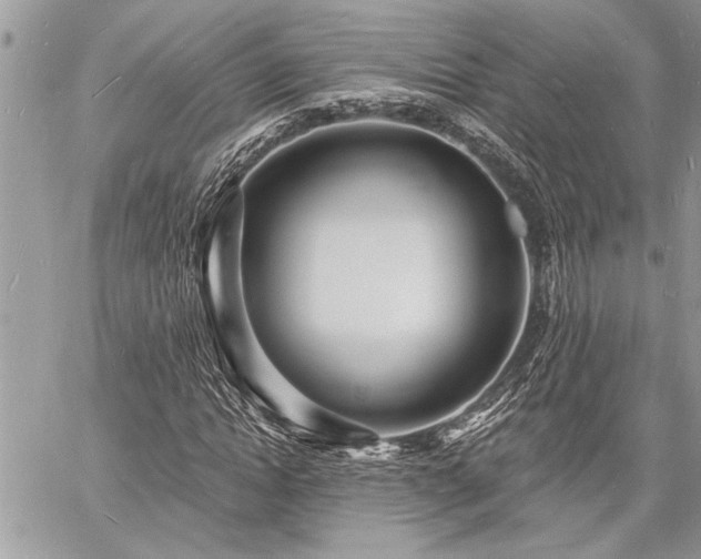 X0000060740822200511141130