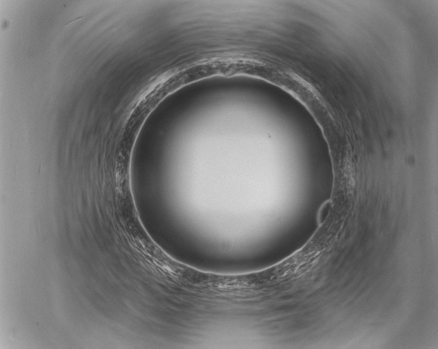 X0000060740823200511141130