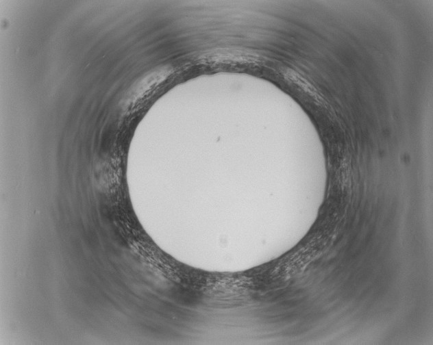 X0000060740824200511141130