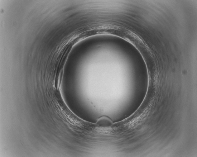 X0000060740825200511141130