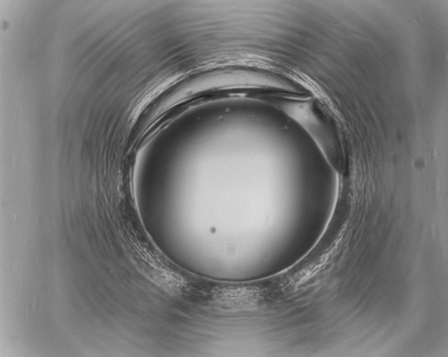 X0000060740826200511141130