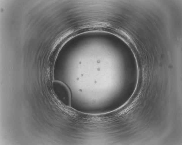 X0000060740827200511141130