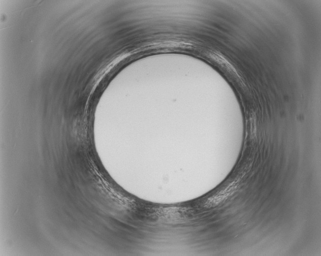 X0000060740828200511141131