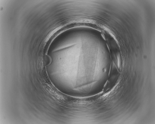 X0000060740829200511141131