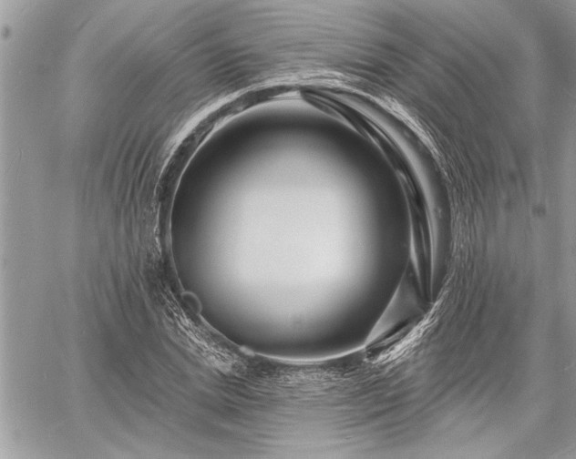 X0000060740830200511141131