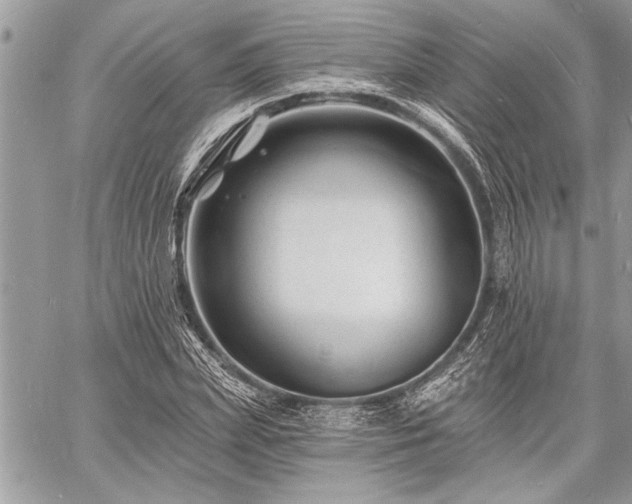 X0000060740831200511141131