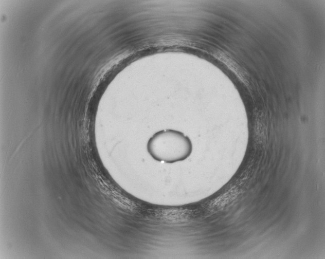 X0000060740832200511141131