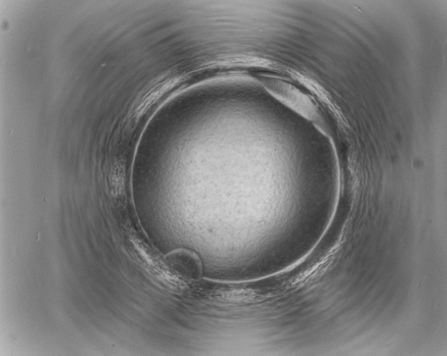 X0000060740833200511141131