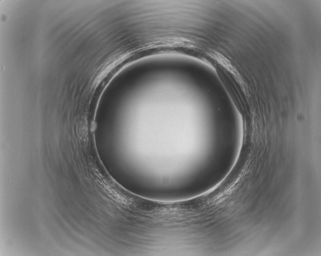 X0000060740834200511141131