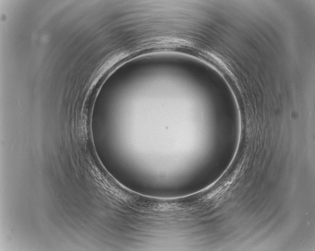 X0000060740835200511141131