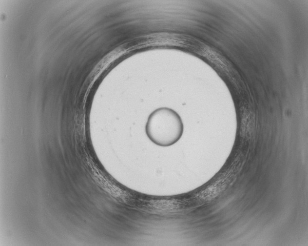 X0000060740836200511141131