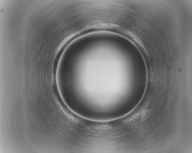 X0000060740837200511141131