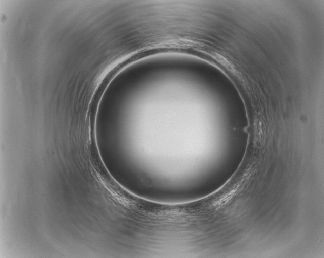 X0000060740838200511141131