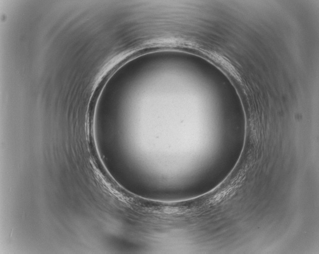 X0000060740839200511141131