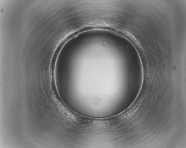 X0000060740840200511141131