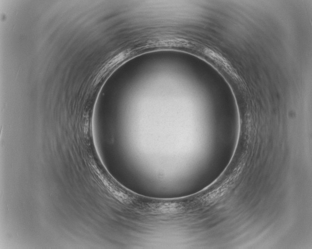 X0000060740841200511141131