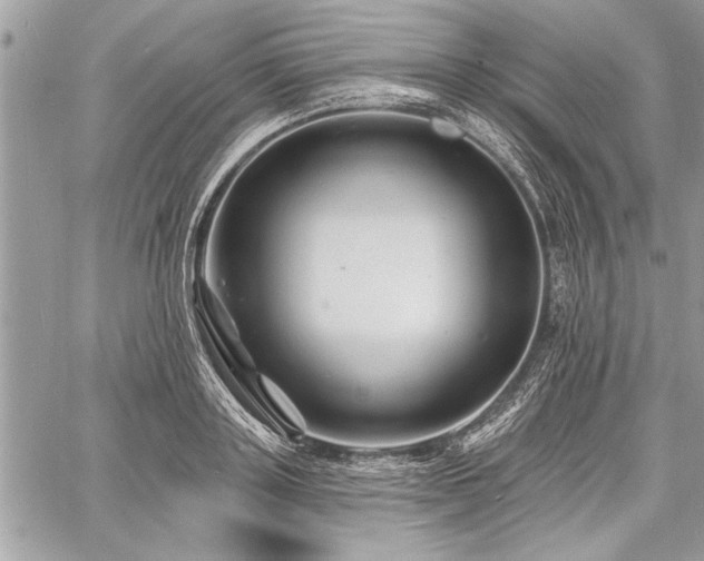 X0000060740843200511141131