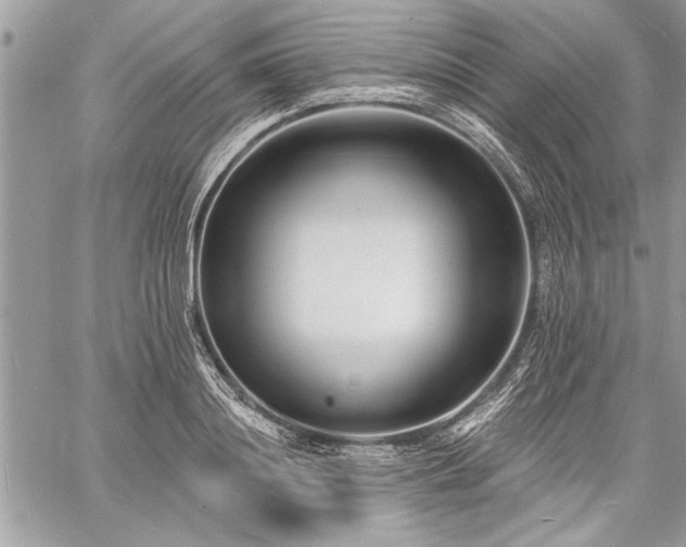 X0000060740844200511141131