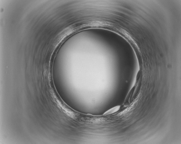 X0000060740845200511141131