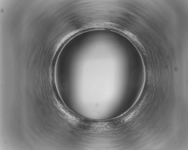 X0000060740846200511141131