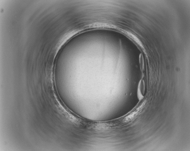 X0000060740847200511141131