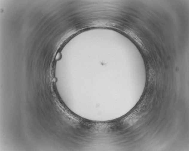 X0000060740848200511141131