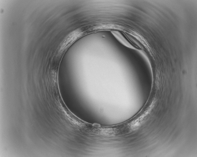 X0000060740849200511141131